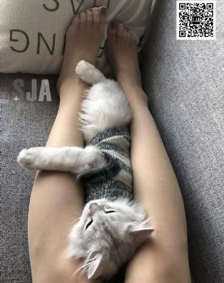 亚洲伊人精品午夜在线视频_4K神马在线观看